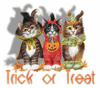 Trick or Treat ???