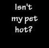 Isn't my pet hot ?
