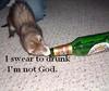 DrunkFerret