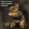 Naughty squirrel