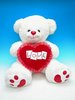 Love you Teddy Bear