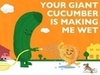 Cucumber Fun