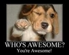 You&quot;re Awesome!