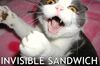 LOLCats - INVISIBLE SANDWICH