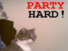 party hard !