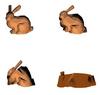 various stages of bunny melt