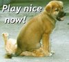 Play nice now!
