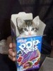 Kitty Poptarts!
