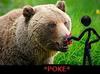 Pokin The Bear