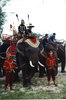 Thai War Elephant