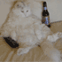 A Beer and a Movie with Fatcat