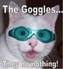 Aqua Cat Goggles