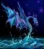 Sea Dragon