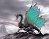 Dragon Butterfly