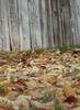 a yard of leaves