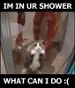 A Shower