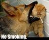 I SAID NO SMOKING!