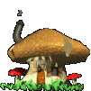 a Mushroom House