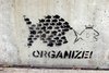 organize