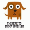 HERE TO HUMP YOUR LEG...