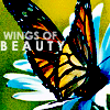 wings of beauty~ :)