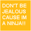 I'm a ninja!