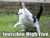 Invisible High Five