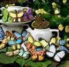 Butterfly Cookies