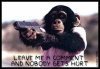 homicidal monkey