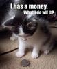i has a money,what i do will it?