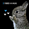 i need a hug