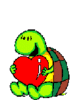 The love turtle
