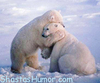 Polar Bear Hugs!!