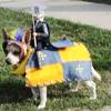 Lance-A-Pup Costume