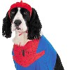 Spiderdog Costume