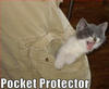 lol pocket protector