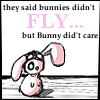You can do it!   Fly bunny, Fly!