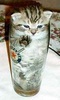 Kitten in a glass