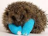 Hedgehog In Adorable Casts