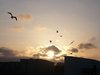 Fly into the sunset with me