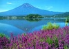 A trip to Mount Fujiyama 