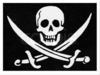 A pirate flag! 