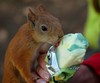 A friend to share Ice Cream With