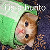 Hungry? Here is a Burito...Enjoy