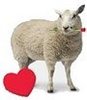 Valentine's sheep