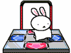 A ~ DDR playing bunny :3