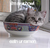 a bowl of ramen