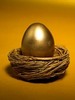 Goose's Golden Egg
