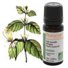 Patchouli Oil