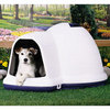 Doggie Igloo